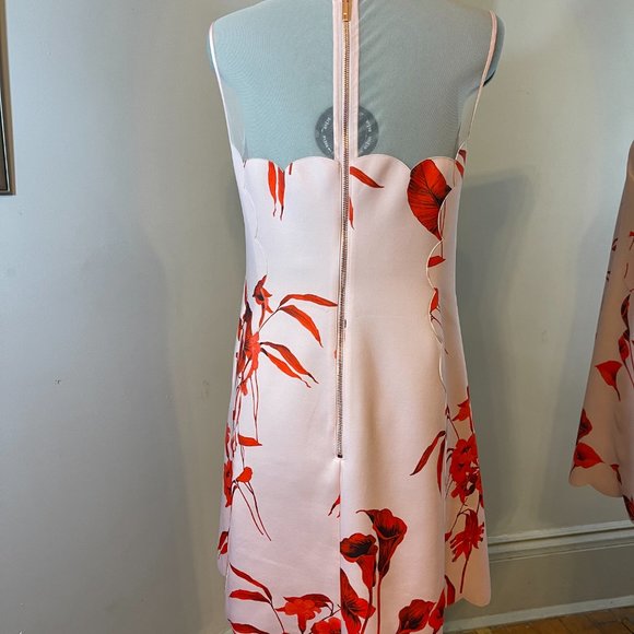Ted Baker Jaazmin Fantasia Women's Floral Scallop Dress - Picture 8 of 11